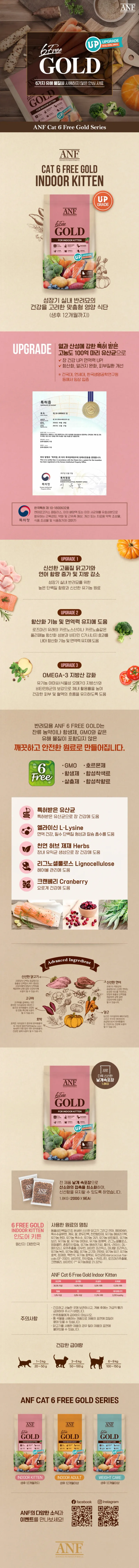ANF 6free 골드 인도어 캣 키튼 1.6kg 상세 이미지 1