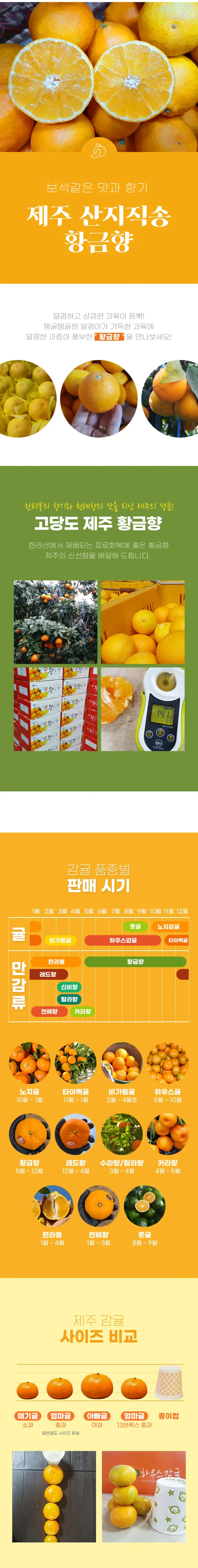 황금향 가정용 3kg 7-20과 상세 이미지 1