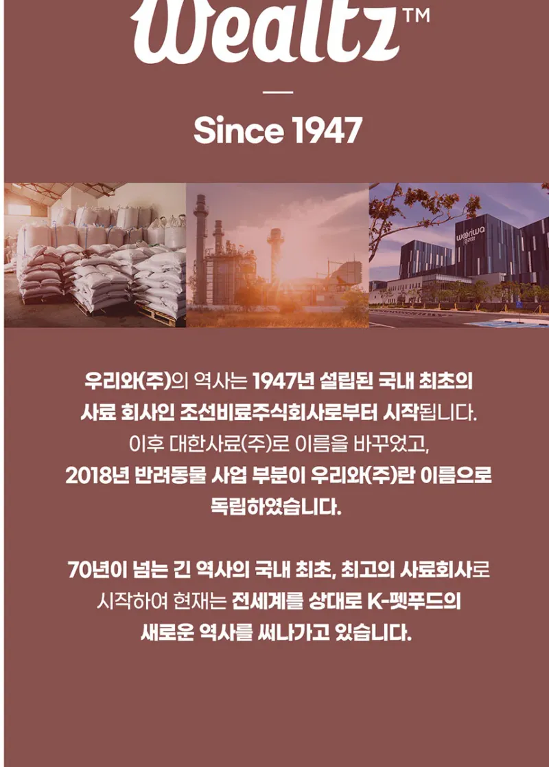 웰츠 캣 키튼 2.1kg 상세 이미지 1