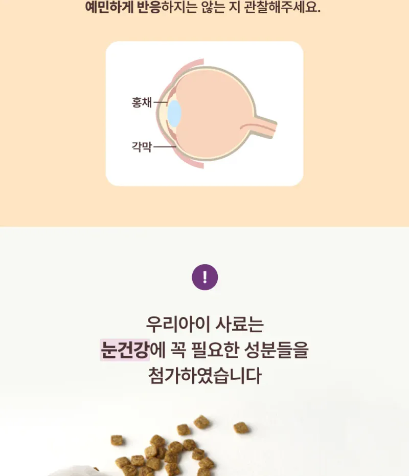 데이스포 우리아이 푸들 1.8kg 상세 이미지 1