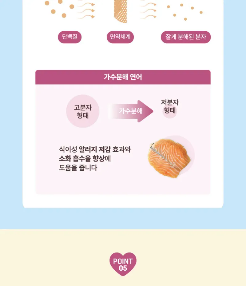 데이스포 우리아이 말티즈 1.8kg 상세 이미지 1