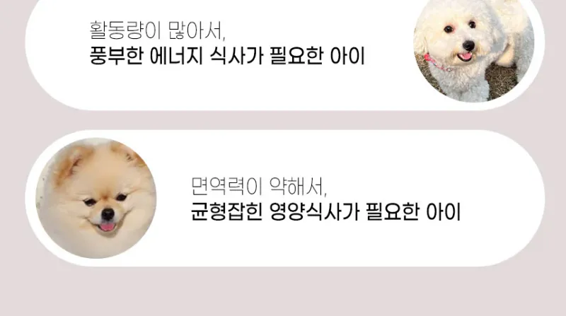 펫러닝 더프로젝트2 소고기+동결건조 북어 1.2kg 상세 이미지 1