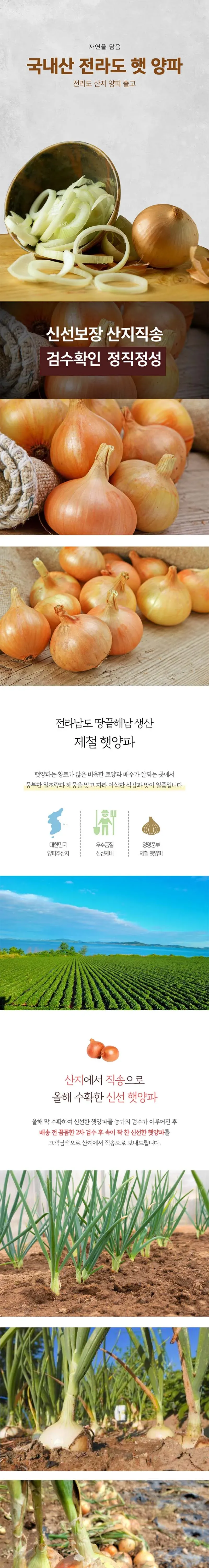 국내산 전라도 햇양파 5kg 상세 이미지 1