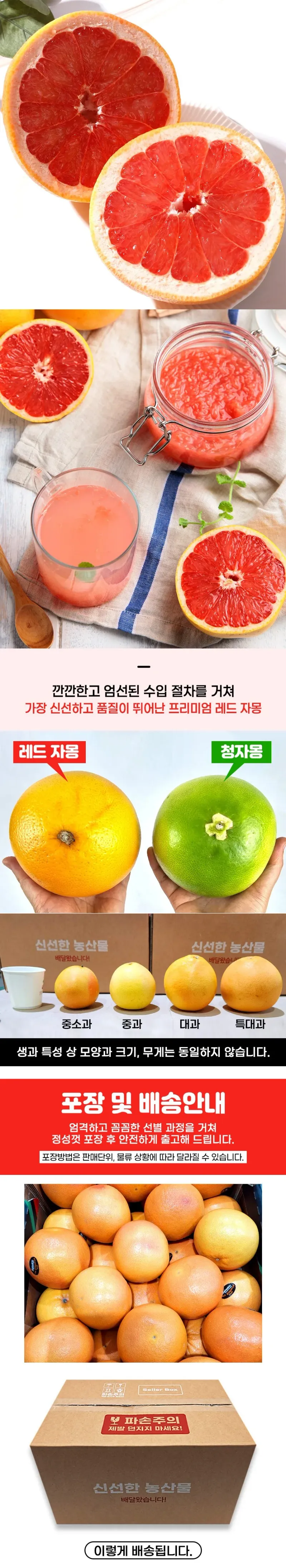싱싱한 달콤상큼 이스라엘산 자몽 10-11과 4kg 상세 이미지 3
