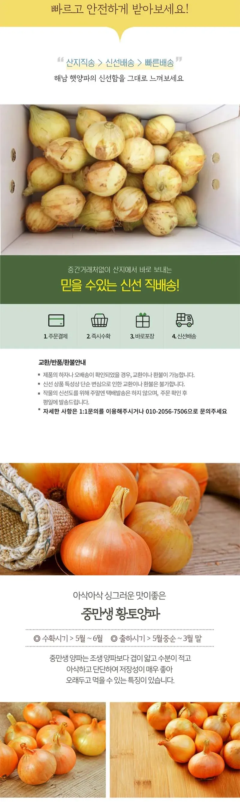 국내산 전라도 햇양파 5kg 상세 이미지 3