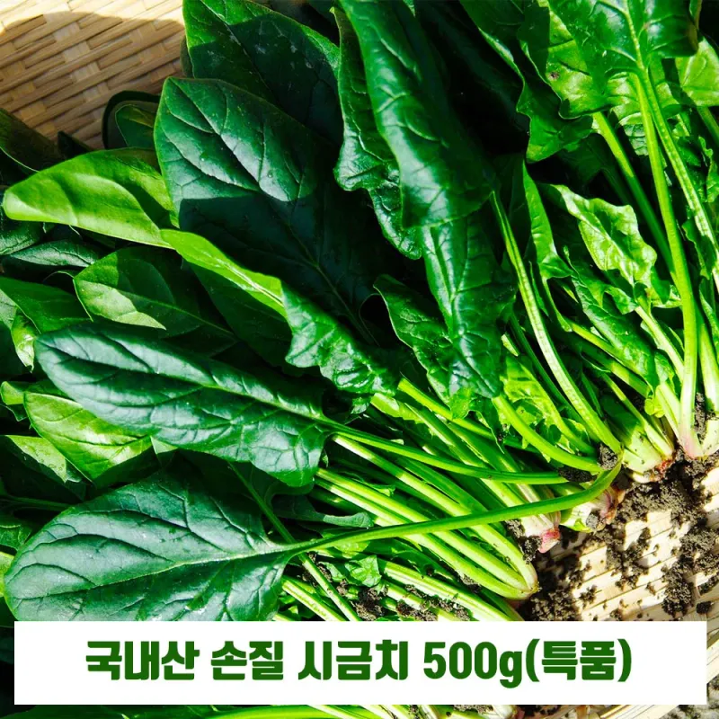 식품 - 국내산 손질 시금치 500g(특품)