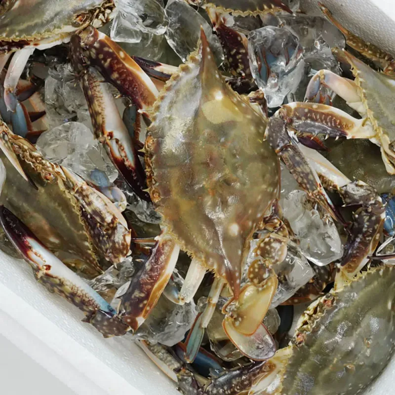식품 - [굿수산] 서해안 암꽃게 4kg(급냉/ 12 ~ 20마리)