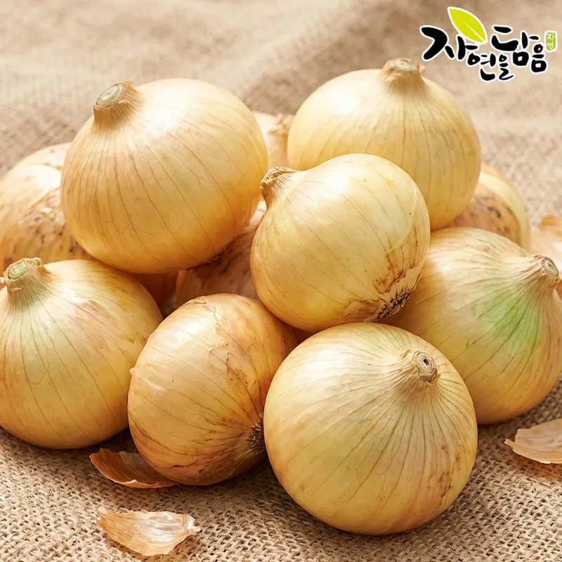 식품 - 국내산 전라도 햇양파 5kg