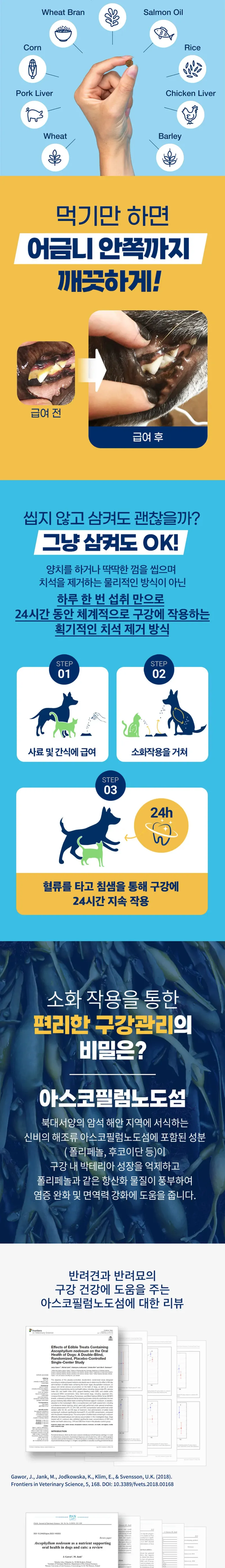 프로덴 플라그오프 덴탈바이트 캣 연어 60g 상세 이미지 2