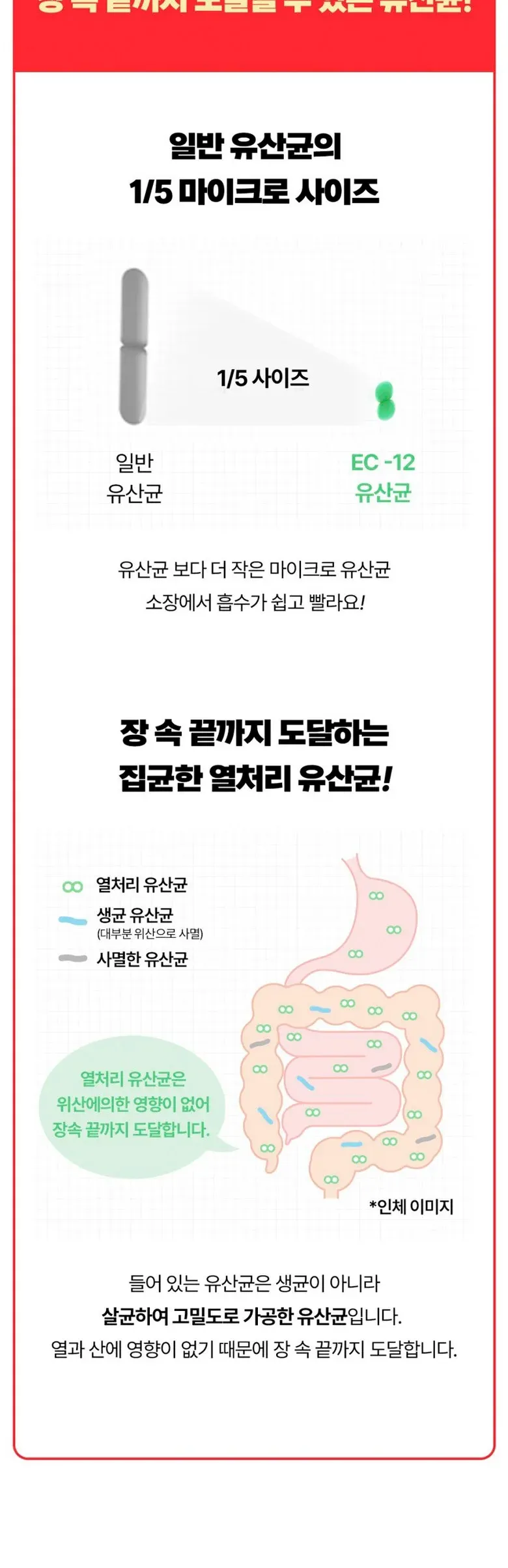 스고이유산균 크런키 참치1.52kg 상세 이미지 5