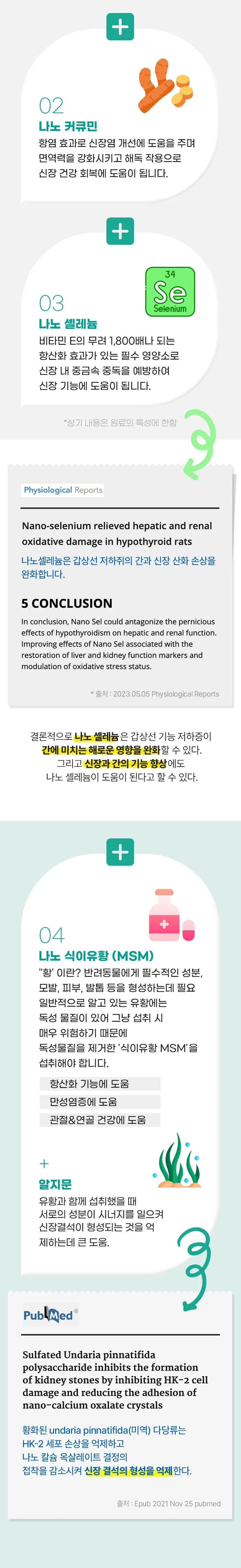 뉴알엑스 나노 RX 신장 요로 30개입 1개 상세 이미지 8