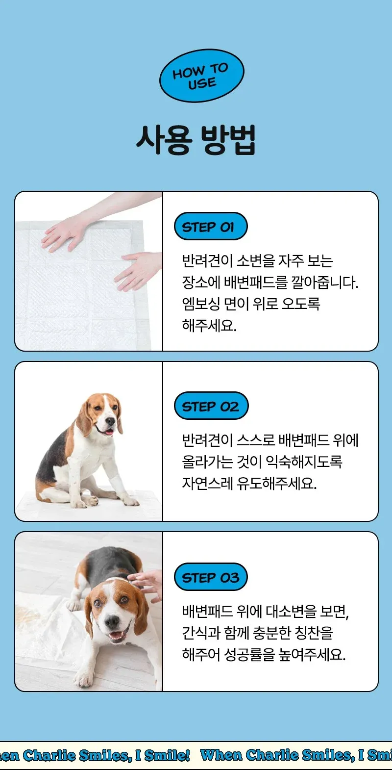 래핑찰리 강아지 배변패드 100매 / 300매 / 600매 상세 이미지 10