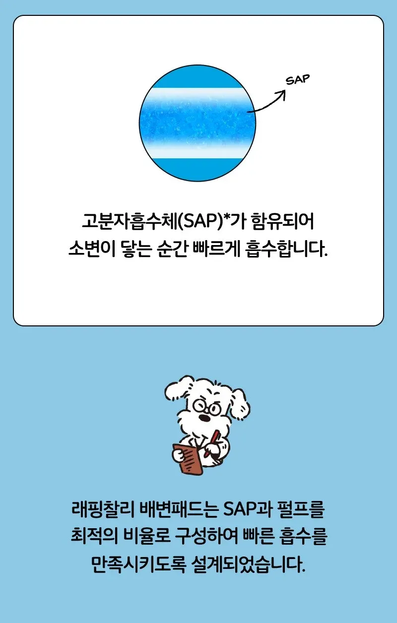 래핑찰리 강아지 배변패드 100매 / 300매 / 600매 상세 이미지 6