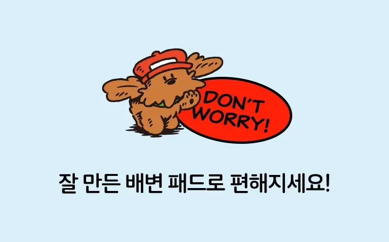래핑찰리 강아지 배변패드 100매 / 300매 / 600매 상세 이미지 4