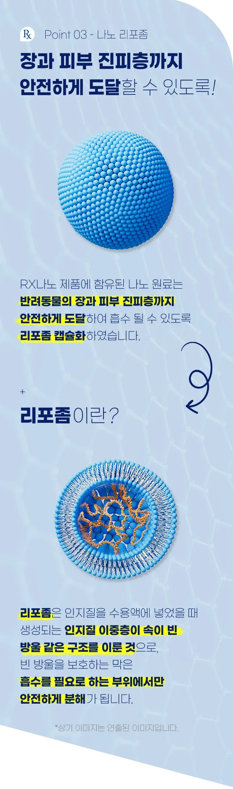 뉴알엑스 나노 RX 신장 요로 30개입 1개 상세 이미지 5