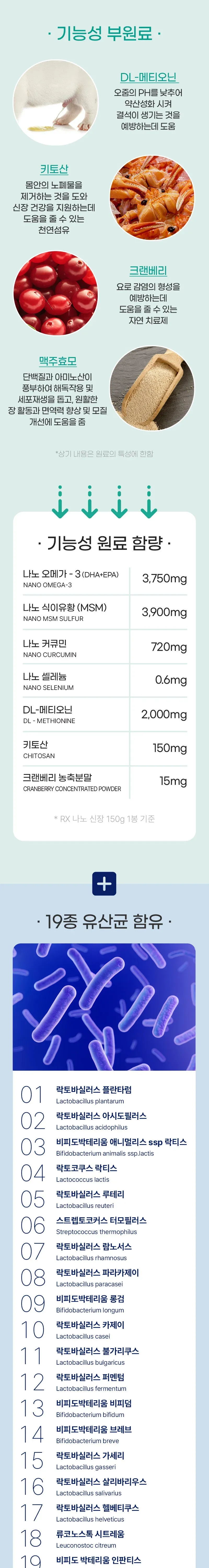 뉴알엑스 나노 RX 신장 요로 30개입 1개 상세 이미지 9