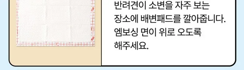 래핑찰리 배변패드대형20매 상세 이미지 6